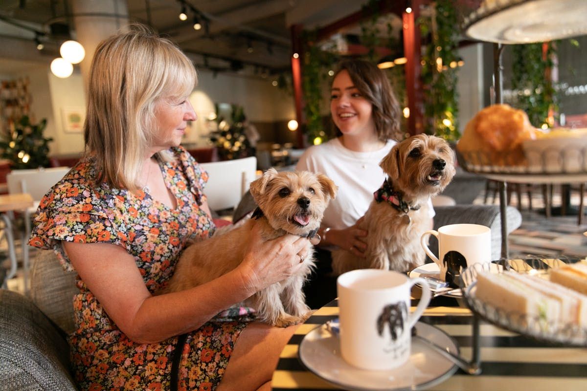 foto pet friendly